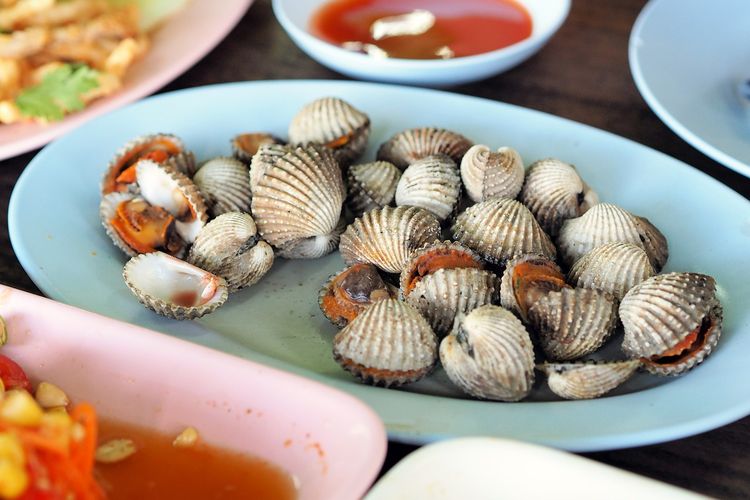 cara membersihkan kerang, Cara Membersihkan Kerang Ala Chef, Pemula Wajib Tau