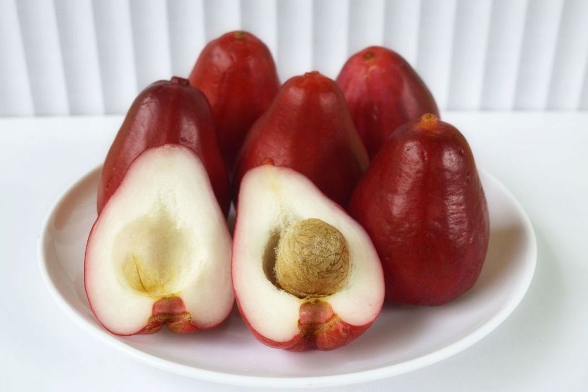 Jambu air, asinan jambu air, membuat asinan jambu air, resep asinan jambu air, bahan asinan jambu air, asinan jambu air pedas manis, Cara Mudah Membuat Asinan Jambu Air, Pedas Manis Segar Bikin Ketagihan