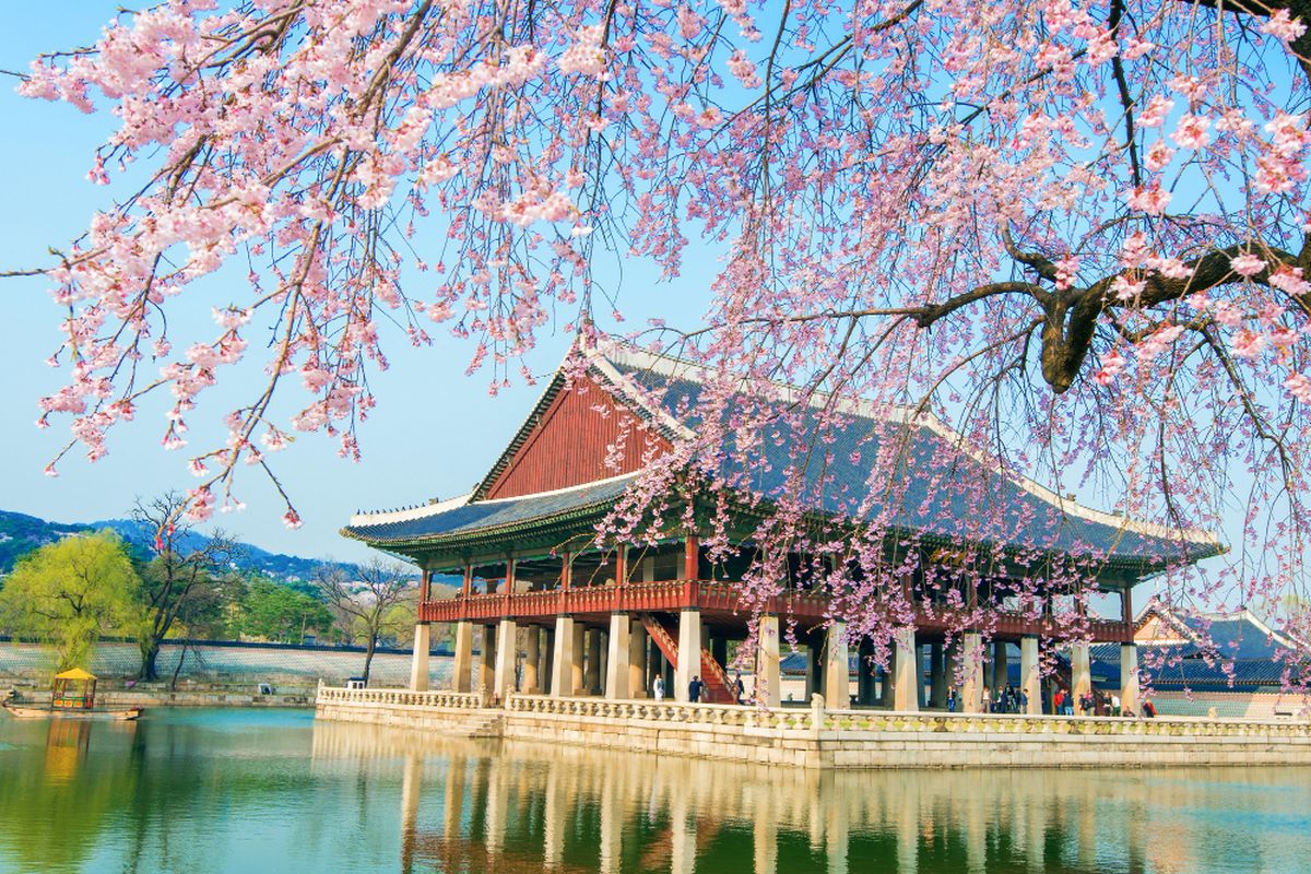 Mau Jalan-jalan ke Korea Selatan, Kapan Waktu Paling Tepat?