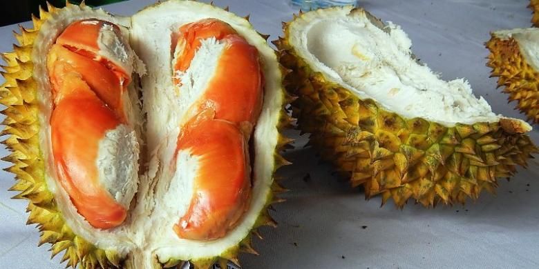 durian merah, Banyuwangi, Durian Kok Merah? Ini Keunikan Durian Merah Banyuwangi yang Kini Dilindugi Negara