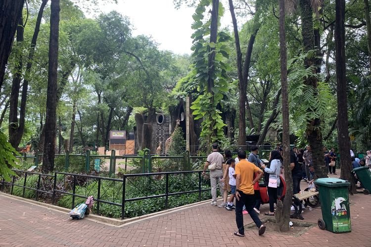 Taman Margasatwa Ragunan, Ragunan, Jam Operasional dan Harga Tiket Ragunan Selama Libur Natal 2025, Buka Lebih Awal