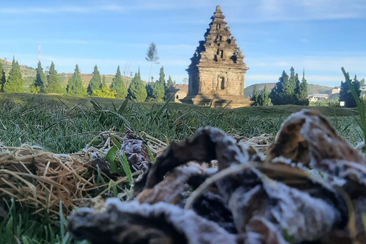 Dataran Tinggi Dieng, embun es, Dieng, embun es Dieng, Melihat Embun Es di Dieng, Datang Sebelum Matahari Terbit dan Pakai Baju Hangat