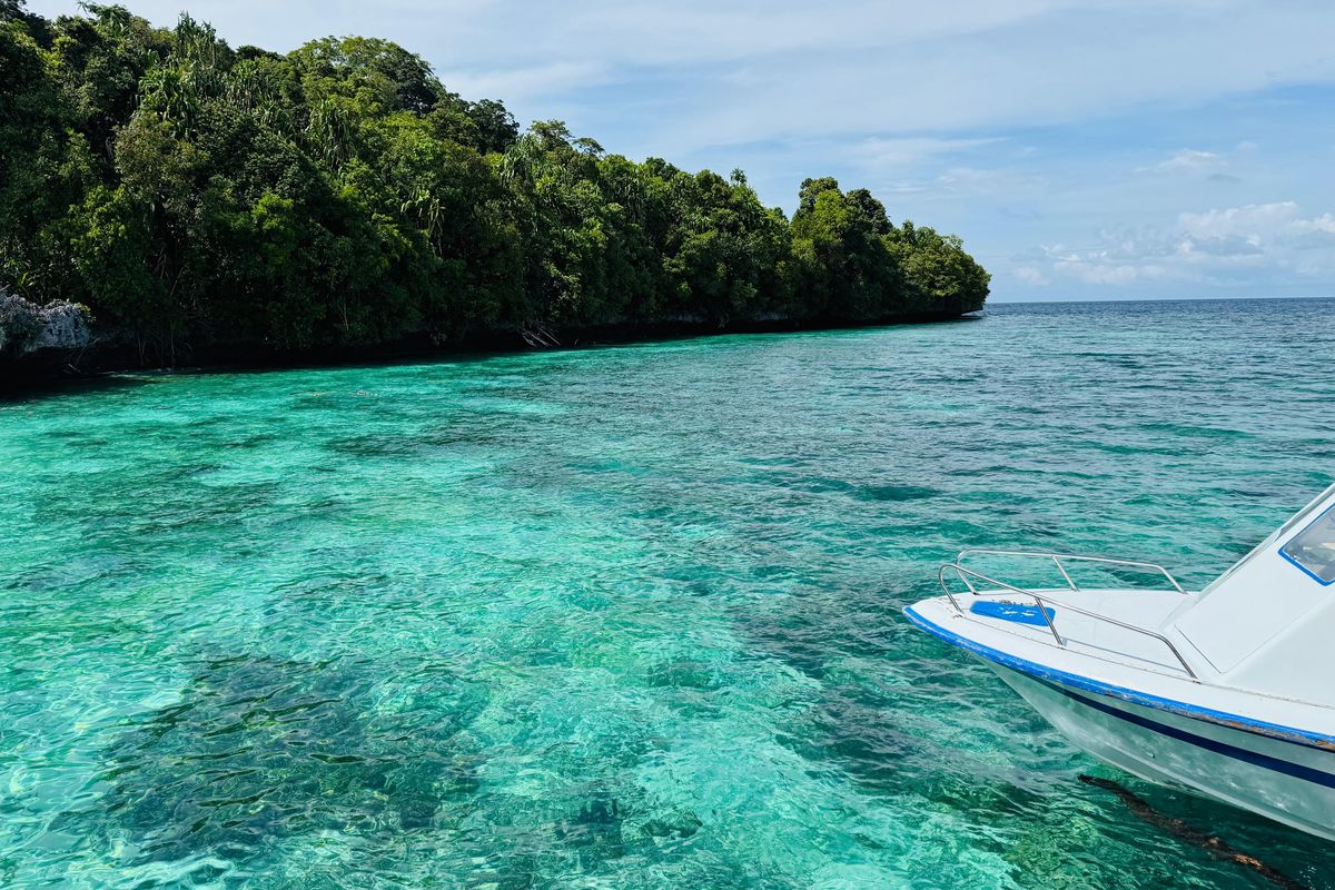 Pilihan Menginap Nyaman untuk Liburan ke Pulau Derawan, Maratua hingga Kakaban