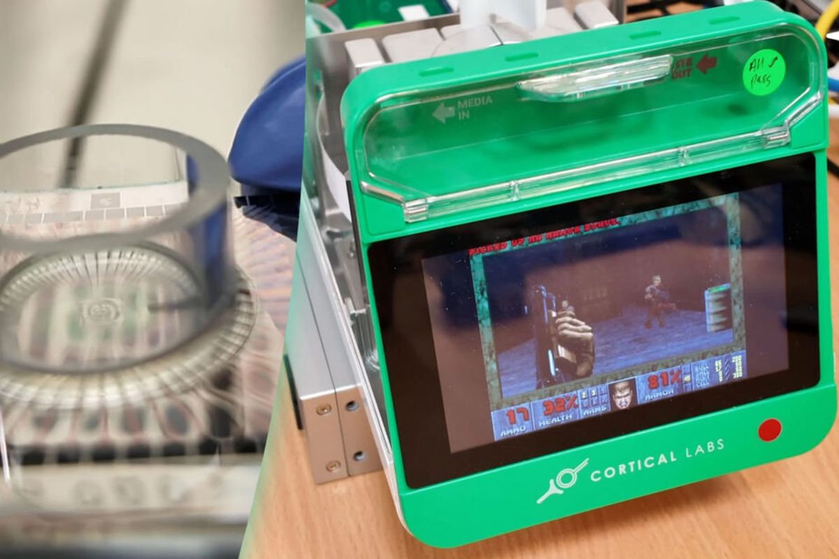Cortical Labs, sel otak, Doom, 200.000 Sel Otak Manusia Digabung ke Chip Komputer, Lalu Dilatih Main Game 