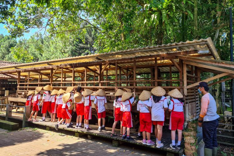 Puncak Bogor, tempat wisata di Puncak Bogor, libur sekolah, tempat wisata di bogor, tempat wisata di puncak bogor, puncak bogor, wisata bogor, 13 Tempat Wisata di Puncak Bogor, Cocok untuk Libur Sekolah dan Keluarga, 1. Agrowisata Gunung Mas: Jelajah Kebun Teh dan Wahana Seru, 2. Kentring Manik: Tempat Makan Hidden Gem di Jalur Puncak, 3. MiniMania Puncak: Keliling Dunia Tanpa Paspor, 4. Kembali ke Alam Puncak: Restoran Tepi Sungai Buka 24 Jam, 5. Enchanting Valley by Taman Safari: Wisata Keluarga Bernuansa Alam, 6. Kopi Tubing Puncak: Wisata Kuliner Plus Petualangan Sungai, 7. Cimory Dairyland Farm Theme Park: Dunia Peternakan Ramah Anak, 8. Taman Bunga Nusantara: Hamparan Bunga untuk Healing Keluarga, 9. Kuntum Farmfield: Bertani dan Berkuda di Tengah Kota, 10. Taman Safari Bogor: Ikon Wisata Satwa di Indonesia, 11. The Ranch Puncak: Naik Kuda dan Bertemu Hewan Lucu, 12. Nicole’s River Park: Wisata Foto dan Mini Zoo Kekinian, 13. Sakura Park MiniMania: Spot Foto Ala Jepang di Tengah Bogor