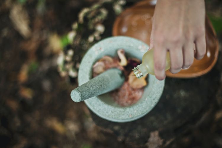 Malang Health Tourism, wisata kesehatan, proyek Mariposa, Proyek Mariposa, Kerjasama Jepang, Malang Health Tourism Jajaki Kerja Sama dengan Jepang, Tawarkan Wisata Kesehatan Mariposa