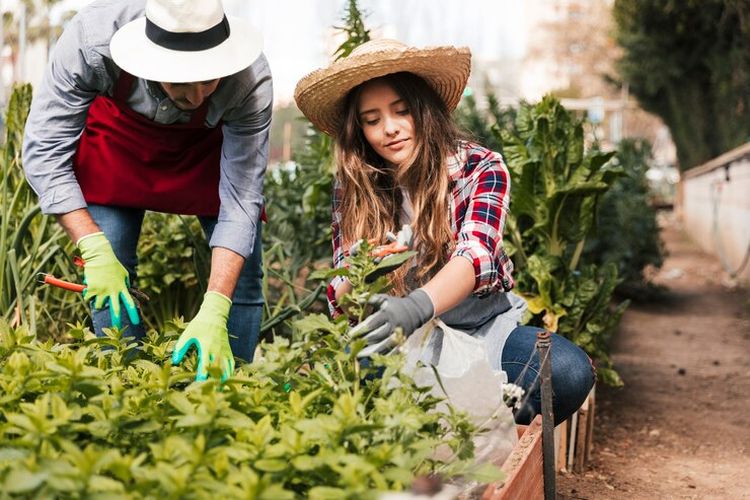 berkebun, manfaat berkebun, David Beckham, manfaat berkebun bagi kesehatan, david beckham berkebun, kebun david beckham, manfaat berkebun untuk kesehatan mental, manfaat berkebun di halaman rumah, manfaat berkebun di pekarangan rumah, berkebun untuk kesehatan mental, Hobi Berkebun seperti David Beckham, Ini 6 Manfaatnya untuk Kesehatan Mental, 1. Melatih penerimaan, 2. Melampaui perfeksionisme, 3. Mengembangkan pola pikir berkembang, 4. Forest bathing, 5. Hadir secara utuh, 6. Mengurangi stres