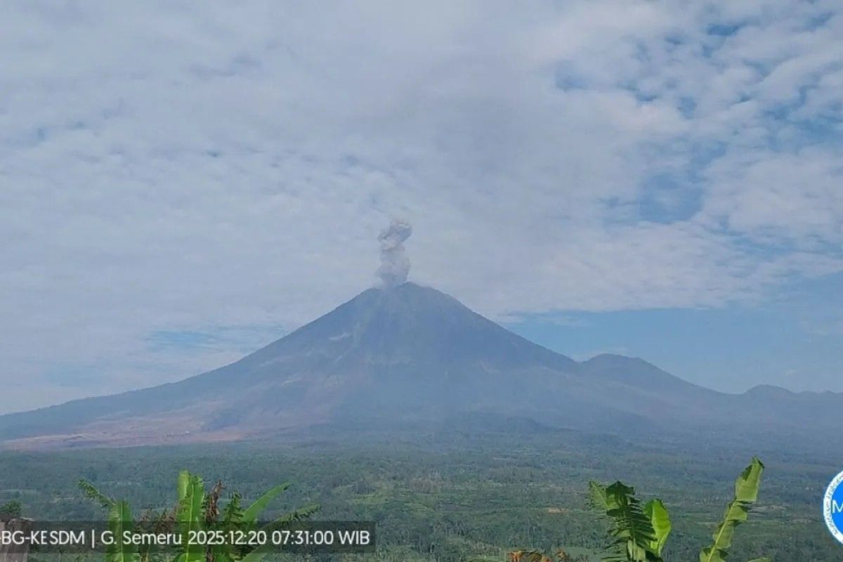 Gunung Semeru, erupsi Gunung Semeru, letusan erupsi Gunung Semeru, Gunung Semeru meletus, Gunung Semeru Erupsi 11 Kali, Kolom Abu Capai 1.100 Meter pada Sabtu