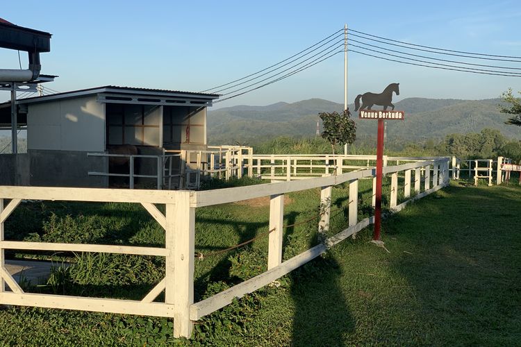 peternakan susu modern terbesar di Sumatera Barat, sirukam dairy farm solok, sirukam dairy farm buka jam berapa, peternakan susu modern terbesar di sumatera barat, Ini Wisata Edukasi Peternakan Susu Modern Terbesar di Sumatera Barat