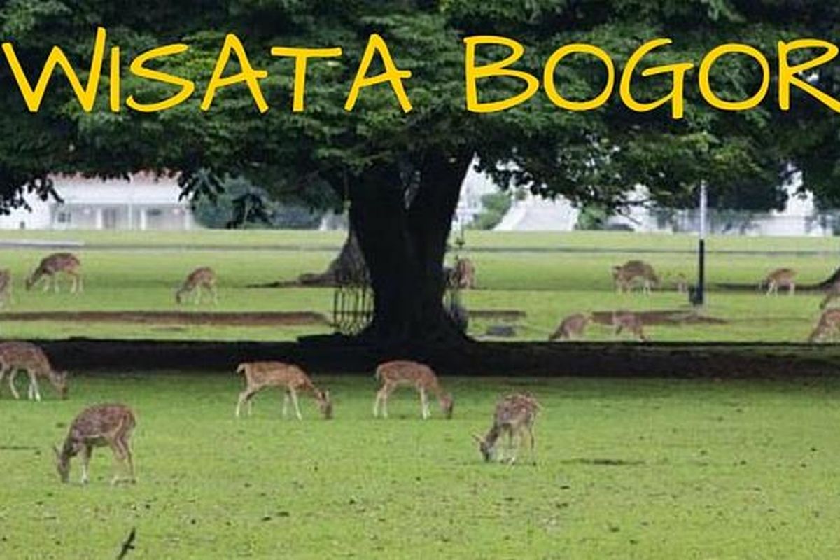 tempat wisata, Bogor, olahraga, Rekomendasi 6 Wisata di Bogor yang Cocok untuk Bersantai dan Olahraga, 1. Kebun Raya Bogor, 2. Lapangan Sempur, 3. Taman Kencana, 4. Kawasan Wisata Gunung Mas, 5. Taman Safari Indonesia, 6. Situ Gede