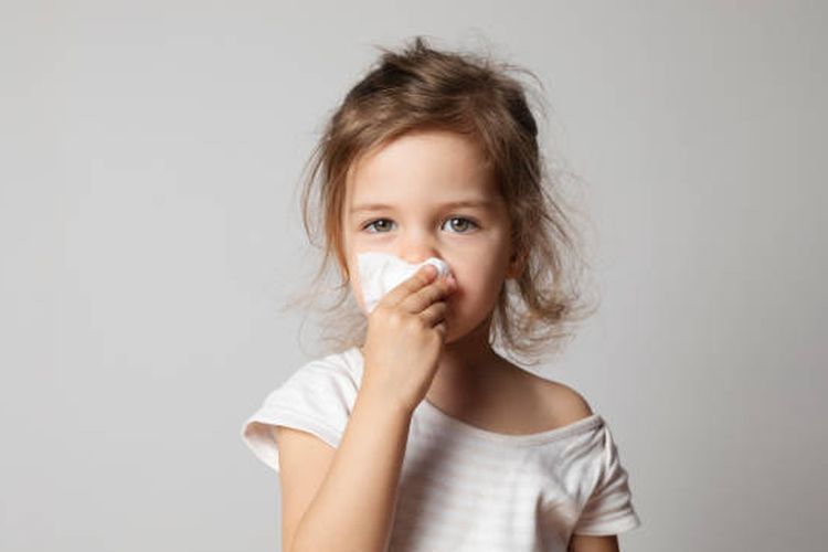 daya tahan tubuh, kekebalan tubuh, kesehatan, suplemen vitamin D, vitamin untuk daya tahan tubuh, flu musiman, suplemen penambah daya tahan tubuh, suplemen untuk flu, vitamin untuk flu dan batuk, vitamin untuk flu, vitamin untuk kekebalan tubuh, 7 Suplemen Vitamin untuk Cegah Flu dan Jaga Imun Tubuh Menurut Ahli, 1. Vitamin C, 2. Vitamin D, 4. Quercetin, 5. Elderberry, 6. Bawang putih, 7. Omega-3