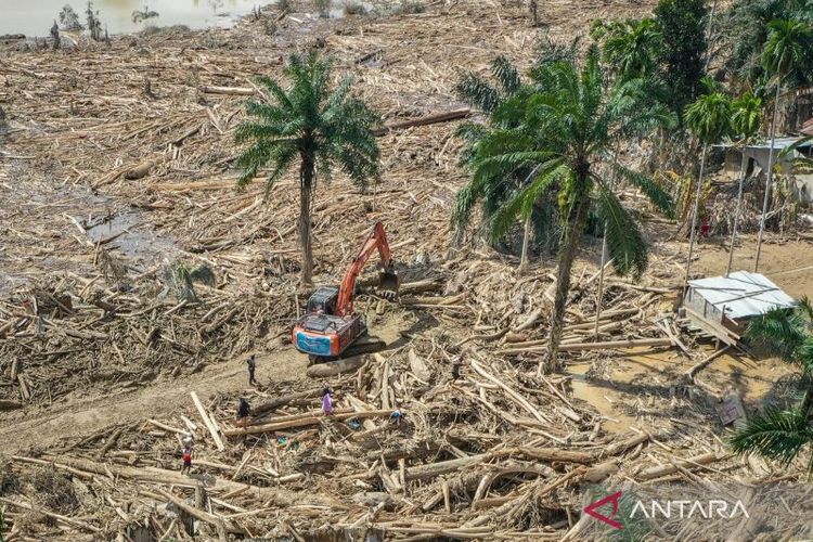 Tapanuli Tengah, Banjir Sumatera Utara, Banjir Tapanuli Tengah, banjir sumatera, banjir sumatera 2025, tapanuli tengah lumpuh total, Pascabencana di Tapanuli Tengah, Ratna Terharu saat Video Call Anak: Hemat-Hematlah Dulu ya Mang’, Ratna Berteriak Gembira: Sudah Ada Jaringan We!, Dua Minggu Tanpa Suara Anak, Anak-Anak Diselamatkan di Atap Rumah, Hutanabolon: 20 Meninggal, 11 Masih Hilang, 19 Desa/Kelurahan Masih Terisolasi di Tapanuli Tengah