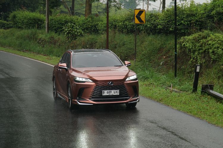 Lexus, hybrid, Lexus RX 450h+ Sang Chameleon
