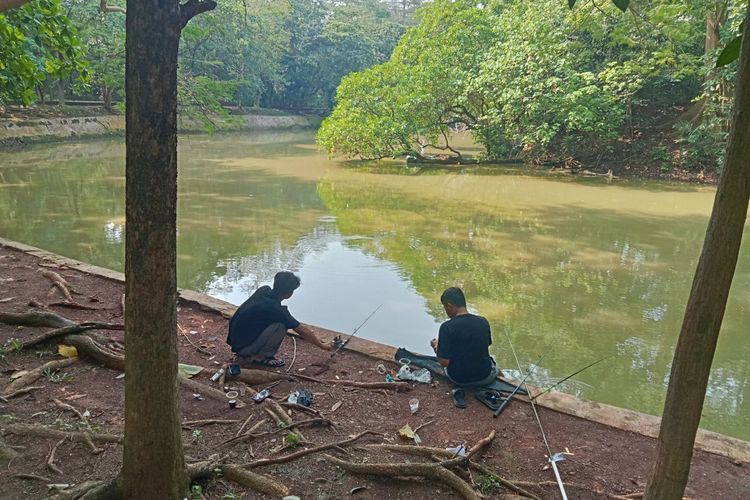 Hutan Kota Srengseng, Hutan Kota di Jakarta Barat, hutan kota srengseng jakarta barat, hutan kota srengseng tutup jam berapa, hutan kota srengseng bayar berapa, Main ke Hutan Kota Srengseng, Bisa Ngapain Aja?, 1. Duduk santai di tepi danau, 2. Jalan santai di tengah hutan, 3. Olahraga, 4. Memancing, 5. Belajar jenis pohon