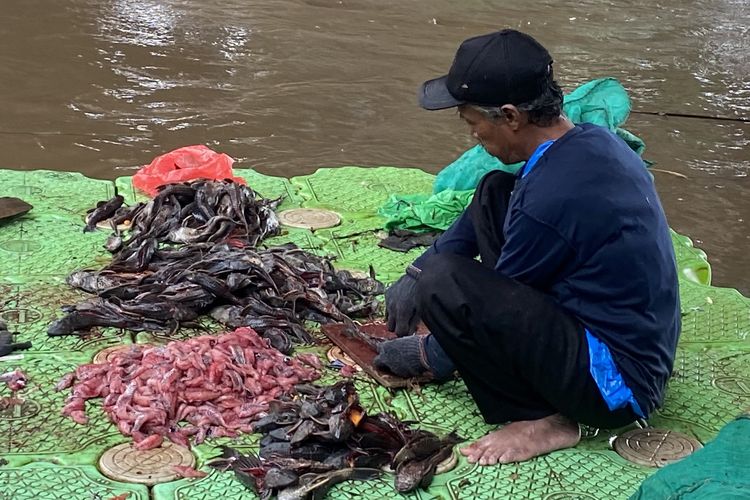 Waspada Siomay Ikan Sapu-sapu: Kenali Cirinya dan Tips Menghindarinya
