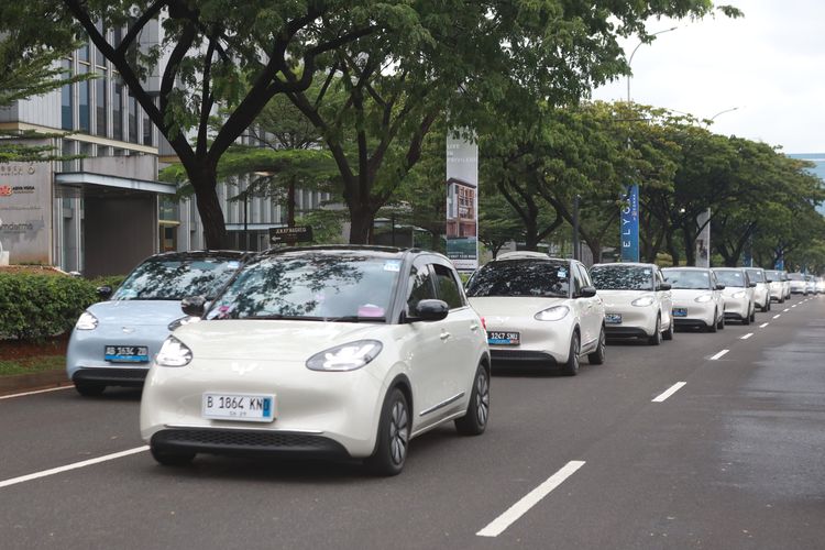Wuling, mobil listrik, diskon mobil listrik, wuling binguo ev, diskon ekstrem, Update Kasus Petisi Pemilik Binguo EV: Kompensasi Masih Tunggu Restu dari Prinsipal
