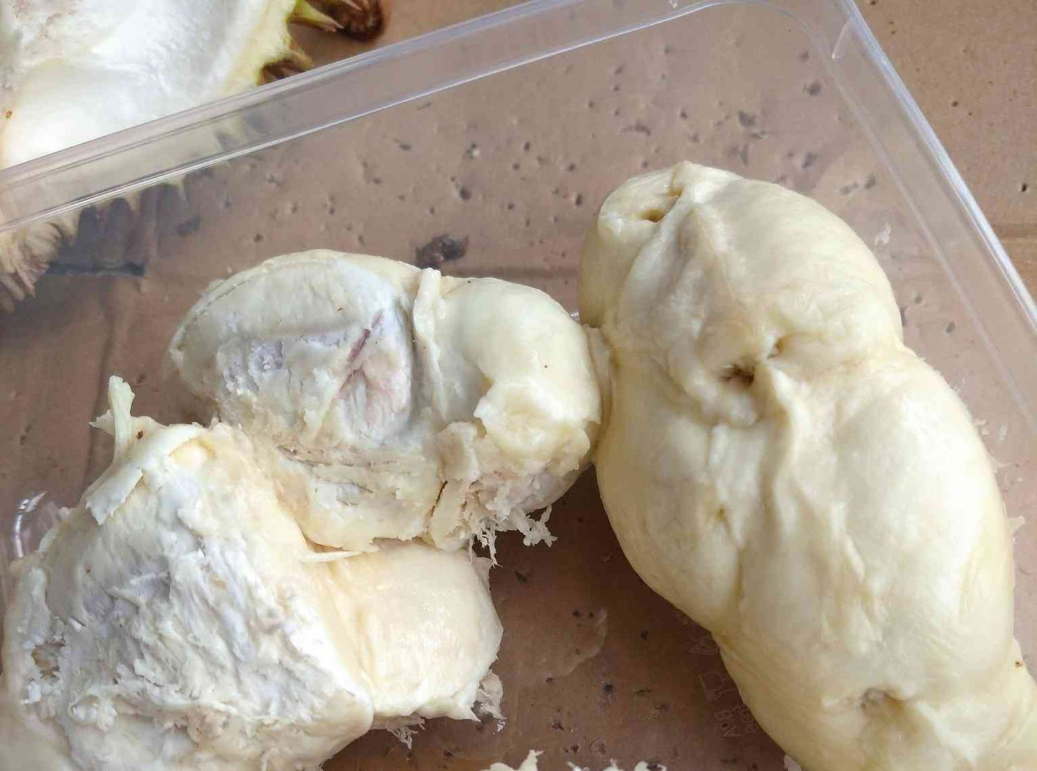 durian, Menikmati Durian Kampung Cengal, Harta Karun Tersembunyi Bogor Bagian Barat