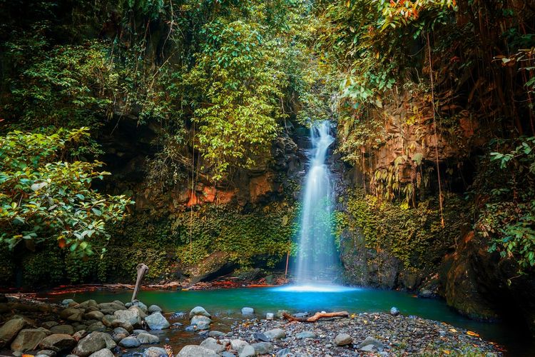 Banyuwangi, wisata alam, hidden gem, Rekomendasi 7 Wisata Alam Hidden Gem Banyuwangi, Cocok Untuk Santai