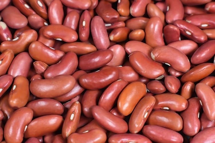 Kacang merah, Cara Mengolah Kacang Merah yang Aman dan Bernutrisi, Ternyata Gampang