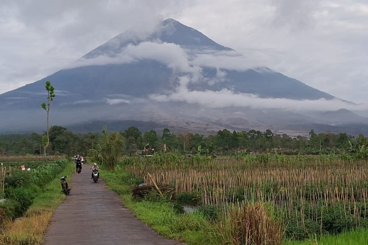 Daop 9 Jember, Gunung Semeru, Jawa Timur, gunung semeru, daop 9 jember, Pascaerupsi Gunung Semeru, Pascaerupsi Gunung Semeru, KAI Pastikan Jalur Kereta di Daop 9 Jember Aman dan Normal, Pengecekan Jalur dan Keamanan Operasional KA, Hasil Pemeriksaan KAI, Antisipasi dan Mitigasi Gangguan Vulkanik, Keamanan Penumpang Menjadi Prioritas KAI, Koordinasi dengan BPBD dan PVMBG, Erupsi Gunung Semeru