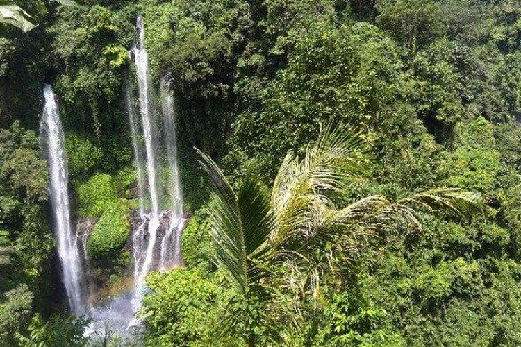 Bali, wisata alam, pantai, 7 Wisata Alam Bali yang Cantik dan Menyejukkan Selain Pantai