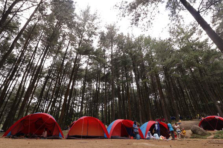 camping, Bogor, Liburan Keluarga di Bogor, Coba Spot Camping Ini, 1. Highland Camp Curug Panjang, 2. Camp Hulu Cai, 3. Gunung Pancar, 4. Camp Gayatri Mountain Adventure, 5. Eagle Hill Outbound, 6. Bukit Cirimpak Camping Ground, 7. D’Jungle Private Camp
