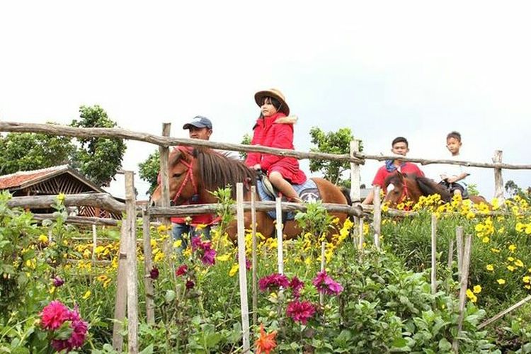 wisata Bandung, wisata bandung, tempat wisata di Bandung, Tempat Wisata Bandung, 10 Tempat Wisata Bandung dengan Nuansa Alam, Pas untuk Libur Panjang, 1. Orchid Forest Lembang, 2. Zona 235 Cikole, 3. Grafika Cikole, 4. Dago Dreampark, 5. Happy Farm Ciwidey, 6. Ranca Upas Ciwidey, 7. Perkebunan Teh Rancabali, 8. Ecopark Curug Tilu, 9. Kawah Putih Ciwidey, 10. Wayang Windu Panenjoan