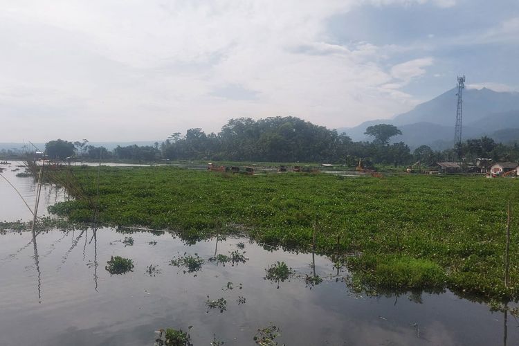 Bukit Cinta, Bebek Goreng Eco, Bukan Ikan, Restoran di Pinggir Rawa Pening Ini Andalkan Bebek Goreng