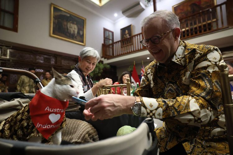 tenun tanimbar, bobby kertanegara kucing prabowo, hut ke 80 ri, bobby kartanegara, gaya bobby kartanegara, kucing motif batik, Bobby Kertanegara, Kucing Kesayangan Presiden Prabowo yang Jadi Ikon Gaya di Istana, Enam Gaya Ikonik Bobby Kertanegara, Bobby Viral karena Dikawal Polisi, Bertemu Tokoh Dunia, Negara Ikut Menjaga Bobby