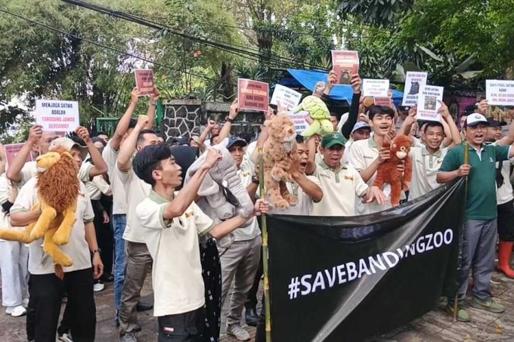Bandung Zoo Masih Tutup Sejak Agustus, Biaya Pakan Satwa Capai Rp 400 Juta Per Bulan