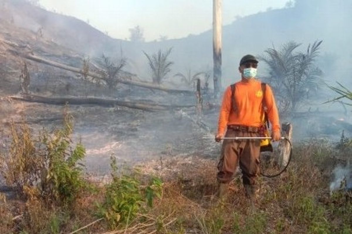 Titik panas, BMKG, kebakaran, Sumatera Utara, BMKG Deteksi 12 Titik Panas di Sumatera Utara, Ini Sebaran Wilayahnya