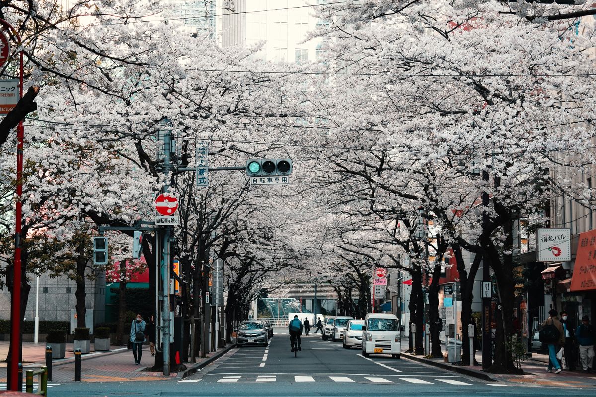 Jepang, ramalan komik, jepang, Gempa Jepang, pariwisata jepang, ramalan gempa jepang, Banyak Turis Batalkan Liburan ke Jepang akibat Ramalan Komik dan Cenayang