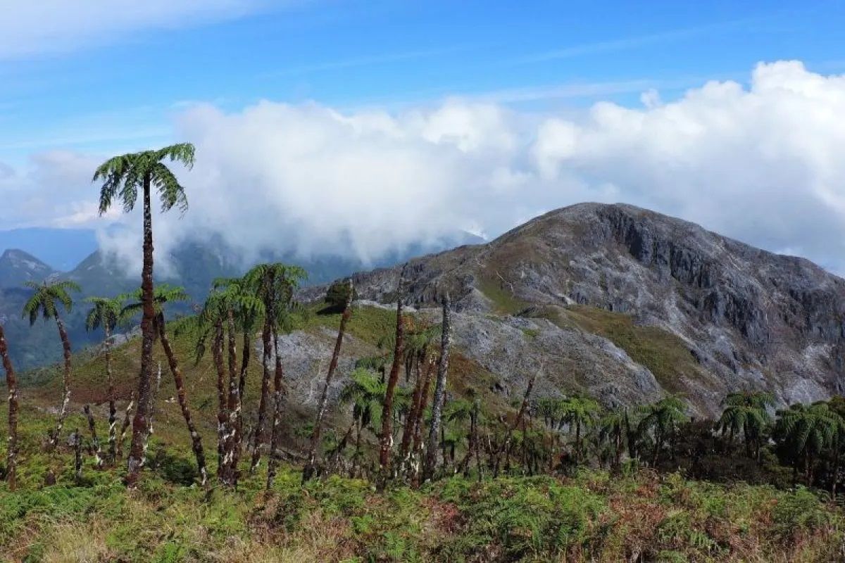 Gunung Binaiya, Maluku, maluku, gunung binaiya, gunung binaiya maluku, gunung di maluku, Pendaki Bogor Hilang Misterius di Gunung Binaiya Maluku, Pencarian Akan Libatkan Tokoh Agama dan Adat