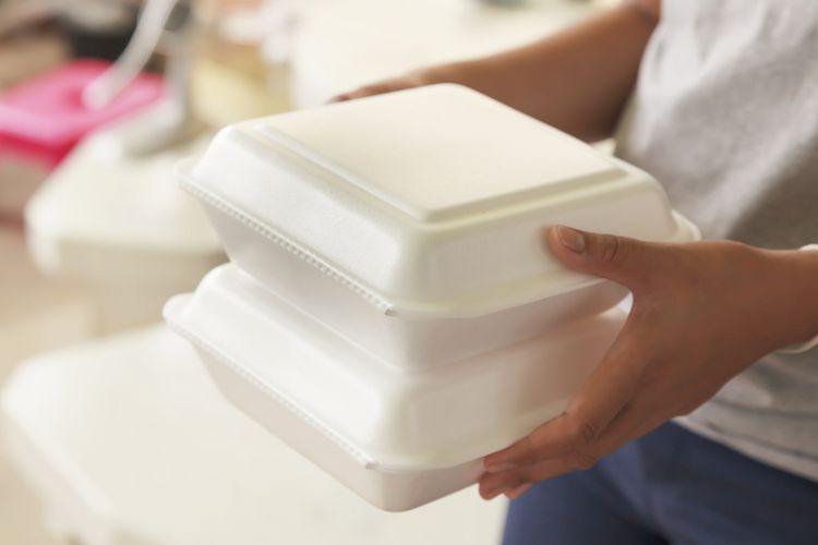 Kecoak, kecoak, banyak kecoak di dapur, Penyebab banyak kecoak di dapur, Penyebab Banyak Kecoak di Dapur, Bisa karena Salah Simpan Makanan, 1. Wadah makanan tidak tertutup rapat, 2. Tidak membersihkan tempat penyimpanan makanan, 3. Tempat penyimpanan makanan lembap, 4. Lemari dapur retak atau berlubang, 5. Meja dapur tidak langsung dibersihkan