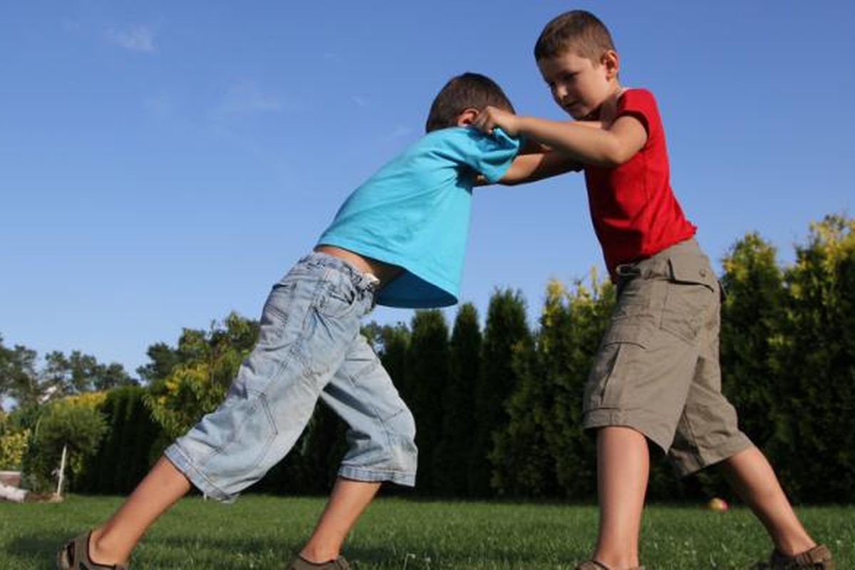 psikolog anak, tips parenting anak, cara menghentikan anak berantem, cara mendorong hubungan antar anak, anak bertengkar, kenapa anak suka bertengkar, cara orangtua menghadapi kakak adik bertengkar, kakak adik bertengkar, cara mengatasi kakak adik bertengkar, Kakak Adik Sering Bertengkar? Begini Cara Orangtua Menghadapinya Menurut Psikolog, Pertengkaran itu normal, tapi bisa jadi masalah, Cara mengurangi pertengkaran antar saudara, Kapan pertengkaran menjadi sesuatu yang lebih serius?, Pentingnya hubungan baik saudara kandung