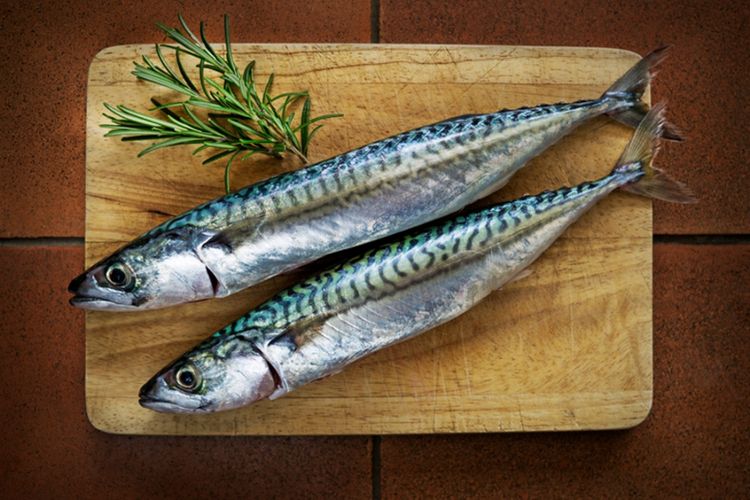 kesegaran ikan, limbah makanan, Peneliti di Jepang Temukan Cara Cek Ikan Segar lewat Matematika