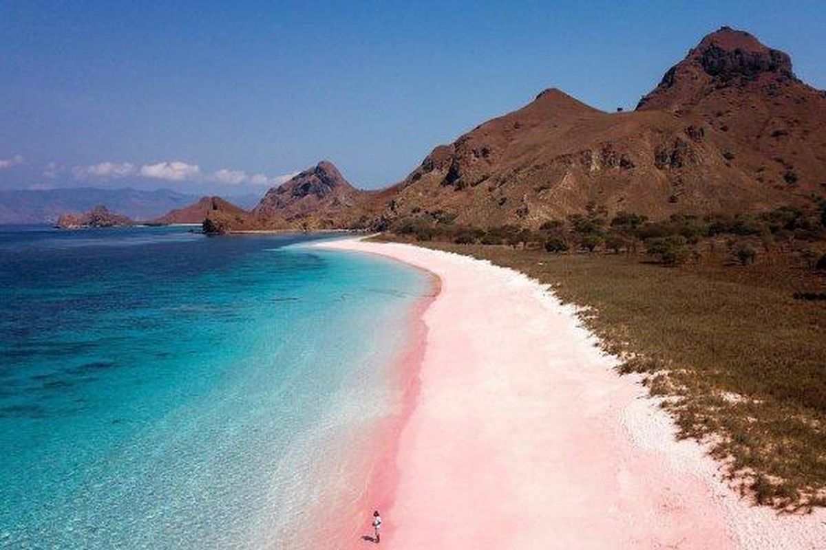 Pulau Komodo, Mencari Jalan Tengah di Habitat Naga