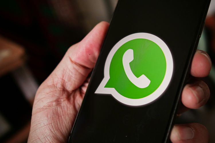 WhatsApp, Meta, fitur baru whatsapp, fitur terjemahan langsung, translate di WA, WhatsApp Rilis Fitur Translate, Chat Berbahasa Asing Bisa Diterjemahkan Langsung