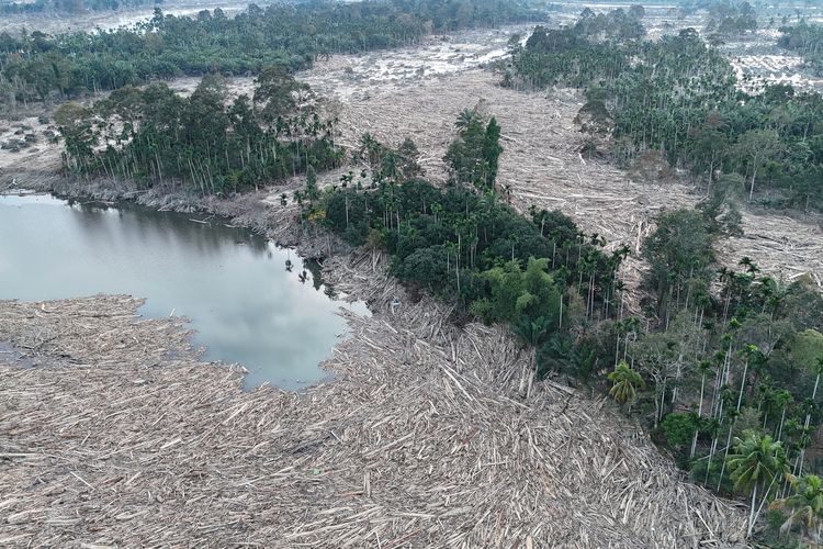 kayu gelondongan, Sumatera, banjir Sumatera, banjir sumbar, banjir aceh, Banjir Sumut, banjir sumatera, kayu gelondongan banjir sumatera, BERITA FOTO: Jejak Kayu Gelondongan yang Terbawa Arus Banjir Sumatera, Penjelasan Kemenhut soal kayu gelondongan, Areal hutan produksi, Pemanfaatan kayu gelondongan, Kerusakan masif pada ekosistem hulu, Pembukaan hutan secara masif