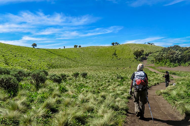 Gunung Merbabu, Merbabu, Jalur pendakian resmi merbabu, 4 Jalur Pendakian Resmi Merbabu, Jangan Mendaki Lewat Jalur Ilegal, 1. Jalur Selo, 2. Jalur Suwanting, 3. Jalur Thekelan, 4. Jalur Wekas