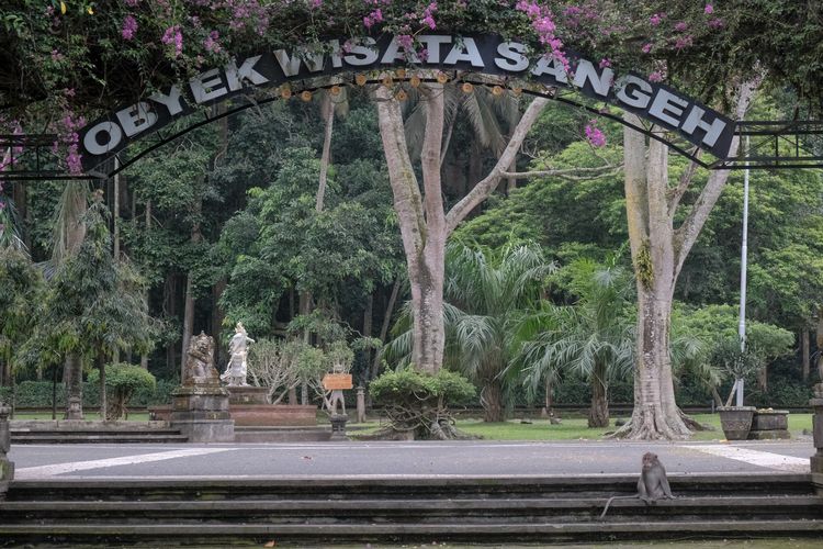 tempat wisata, Daftar 6 Tempat Wisata yang Tutup Selama Perayaan Nyepi, 1. Danau Buyan - Danau Tamblingan (Bali), 2. Panelokan, Kintamani (Bali), 4. Sangeh Monkey Forest (Bali), 5. Candi Prambanan (Jawa Tengah/Yogyakarta), 6. Gunung Bromo (Jawa Timur)