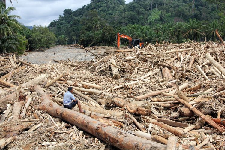 Sumatera, banjir sumbar, banjir aceh, Banjir Sumut, banjir sumatera, update banjir sumatera, dampak banjir sumatera, korban banjir sumatera, Update Banjir Sumatera dan Daftar Daerah yang Terisolir, 442 Orang Meninggal, Sumatera Utara: 217 meninggal, akses terputus hambat evakuasi, Logistik dikirim melalui udara dan laut, Aceh: 96 meninggal, 75 hilang, Sumatera Barat: 129 meninggal, ribuan mengungsi
