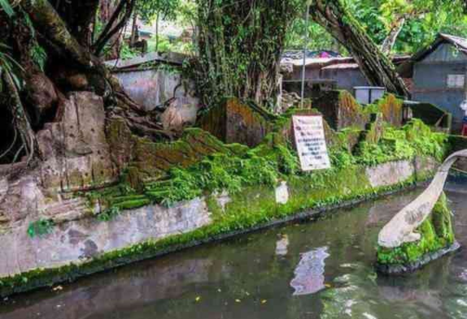 wisata, Batu Seribu, Umbul Pacinan: Wisata Air, Sejarah, dan Mitos di Geopark Gunung Sewu, Benang Merah Sejarah: Air Perjuangan Sambernyawa, Sendang Lele sebagai Penjaga Gerbang Sejarah , Kontras yang Harmonis, Antara Sakral dan Profan, Pelukan Sore dan Kehangatan di Balik Dinginnya Umbul