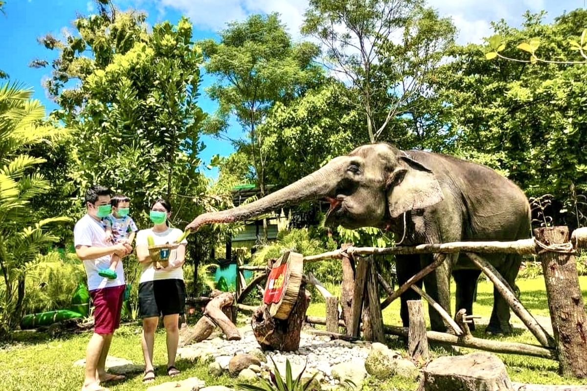 Rayakan Hardiknas, Ini 4 Wisata Edukasi Belajar Ramah Anak di Jogja, Taman Pintar Yogyakarta, Gembira Loka Zoo, Museum Dewantara Kirti Griya, Museum Gunung Merapi