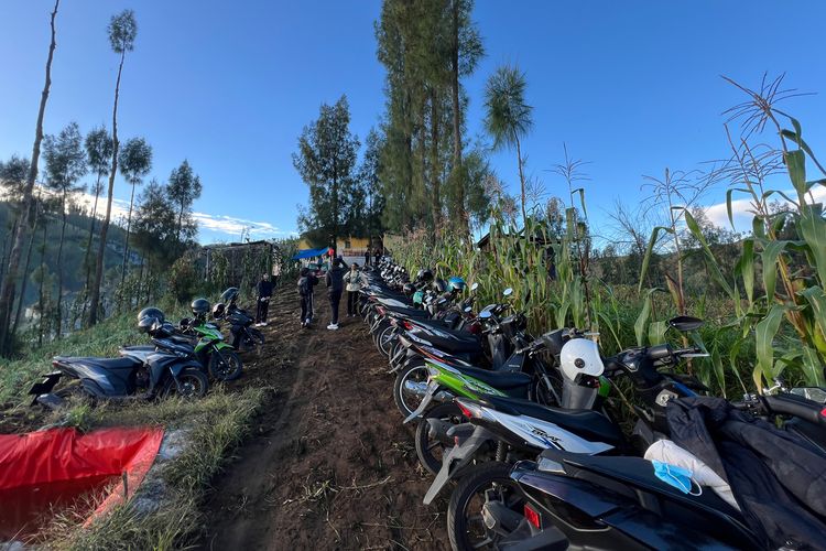 Bukit Premium, Lokasi Bukit Premium, bukit premium jawa timur, bukit premium pasuruan, Lokasi bukit premium, Lokasi Bukit Premium, Padang Sabana Sumba di Jawa Timur