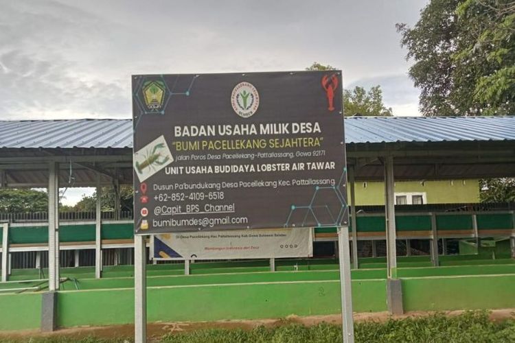 Badan Usaha Milik Desa, BUMDes, Koperasi Desa Merah Putih, KDMP, koperasi desa merah putih, Beda Fungsi BUMDes dan Kopdes Merah Putih, Pemerintah Tegaskan Tidak Ada Persaingan