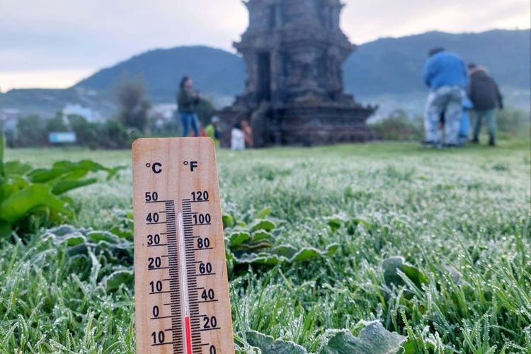 Dataran Tinggi Dieng, embun es, Dieng, embun es Dieng, Melihat Embun Es di Dieng, Datang Sebelum Matahari Terbit dan Pakai Baju Hangat