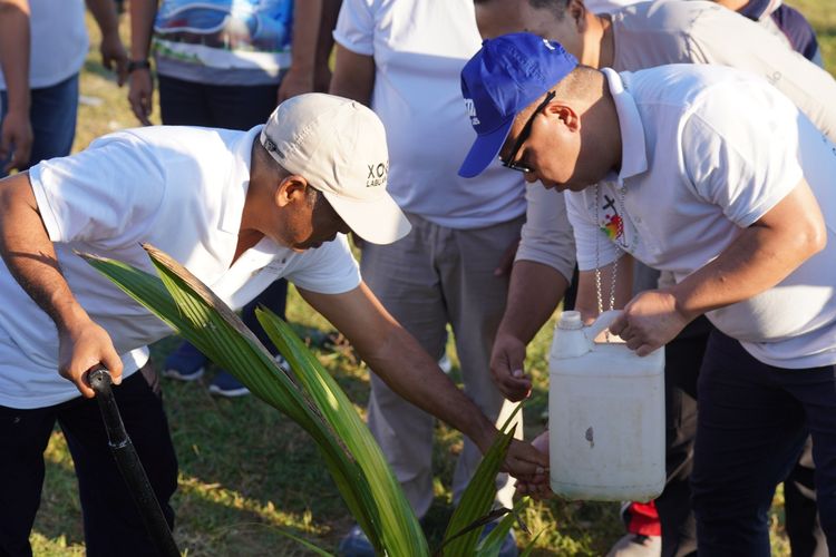 Festival Golo Koe Labuan Bajo, Labuan Bajo, Lingkungan Hidup Sedunia, Festival Golo Koe, Festival Golo Koe Labuan Bajo 2026 Dibuka dengan Tanam Kelapa