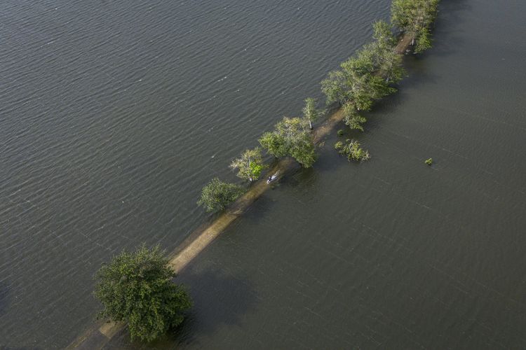 Kudus, Jawa Tengah, banjir Kudus, BERITA FOTO: Kudus Kembali Kebanjiran, Ratusan Rumah Terendam, Ratusan rumah terendam, Ketinggian air bervariasi, Banjir kudus akhir Januari 2025, Status tanggap darurat