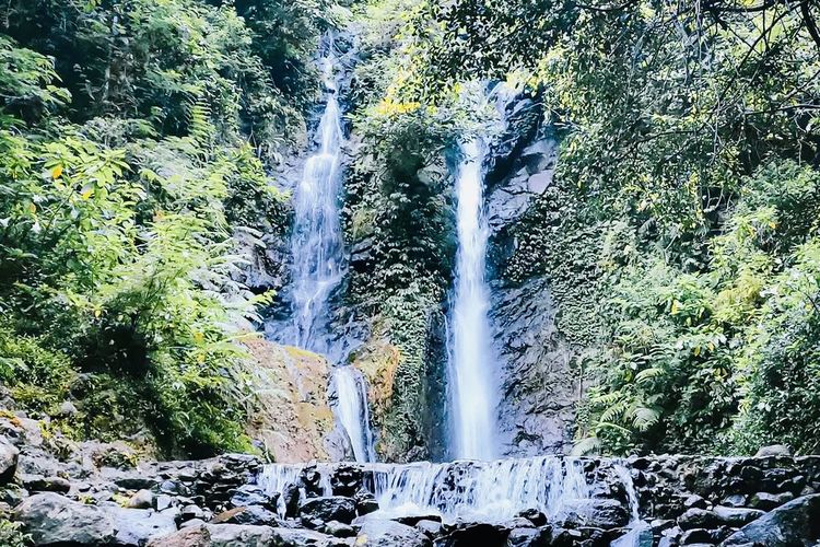 2026, libur, libur panjang, wisata, edukasi, hiburan, Libur Nasional, Destinasi, Long Weekend Februari-Maret, Ini 7 Wisata Edukasi Seru untuk Keluarga, 1. Jakarta Aquarium &amp; Safari, 2. Konservasi Penyu Pulau Pramuka, Kepulauan Seribu, 4. Curug Cilember, Bogor, 5. Desa Wisata Pentingsari, Yogyakarta, 6. Taman Nasional Bantimurung, Sulawesi Selatan, 7. Kebun Raya Balikpapan, Kalimantan Timur